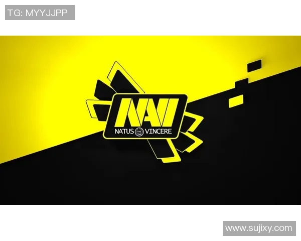 CS冬季大型锦标赛：GaleForce北美娱乐战队受欢迎