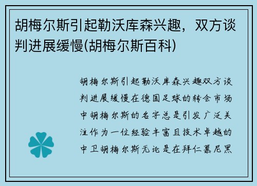 胡梅尔斯引起勒沃库森兴趣，双方谈判进展缓慢(胡梅尔斯百科)