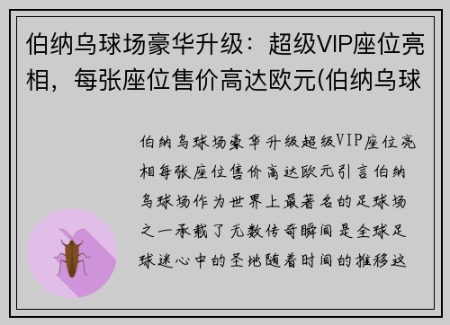 伯纳乌球场豪华升级：超级VIP座位亮相，每张座位售价高达欧元(伯纳乌球场vip包厢)
