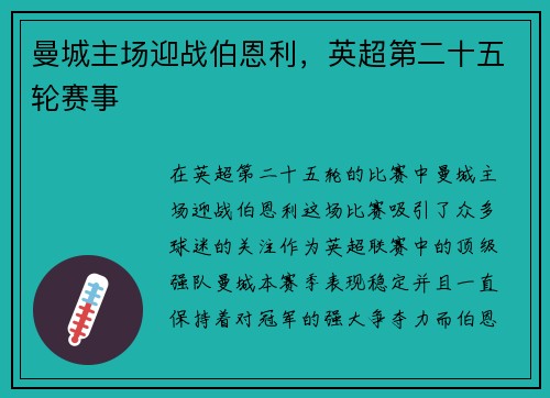 曼城主场迎战伯恩利,英超第二十五轮赛事 曼城主场迎战伯恩利,英超第二十五轮赛事