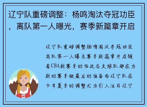 辽宁队重磅调整：杨鸣淘汰夺冠功臣，离队第一人曝光，赛季新篇章开启